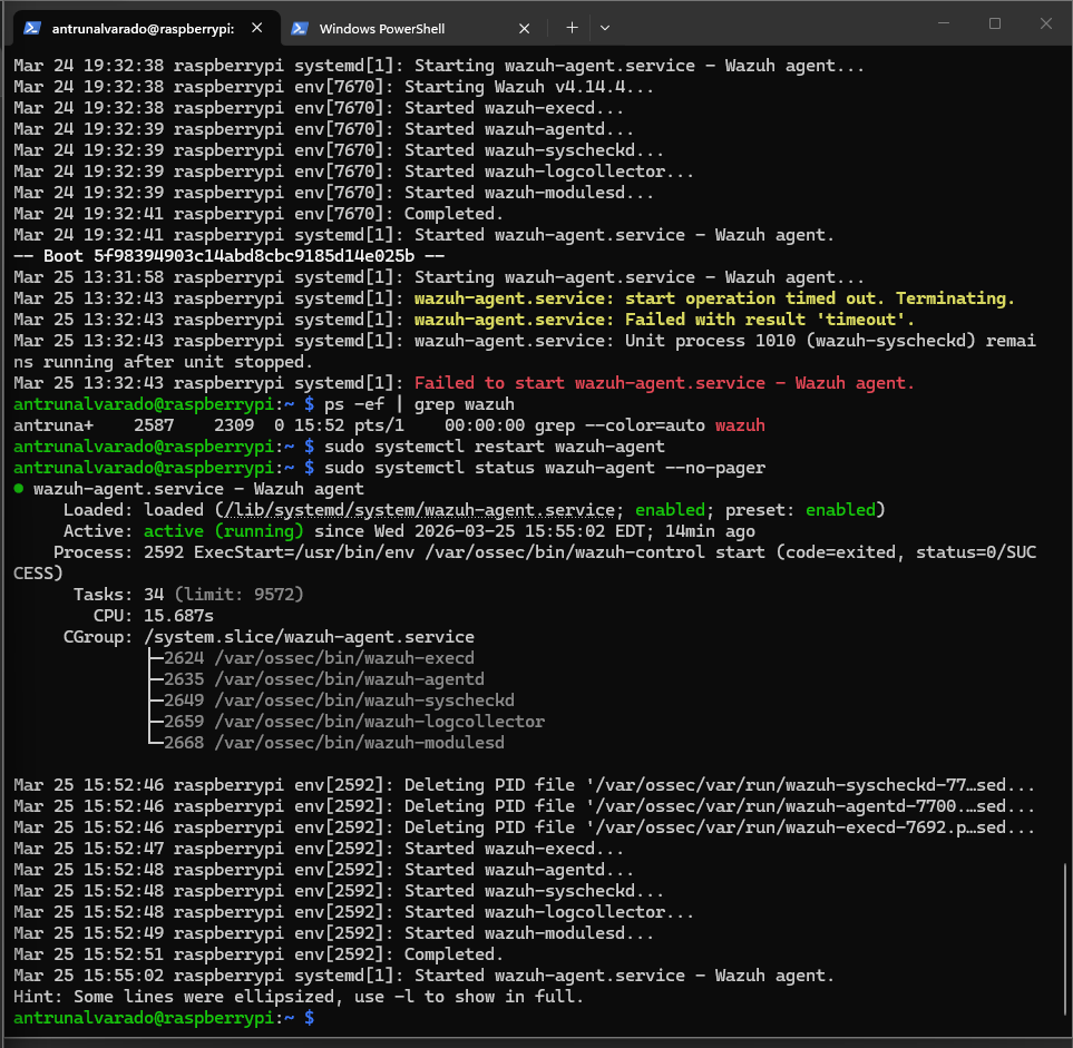 Wazuh agent running on Raspberry Pi
